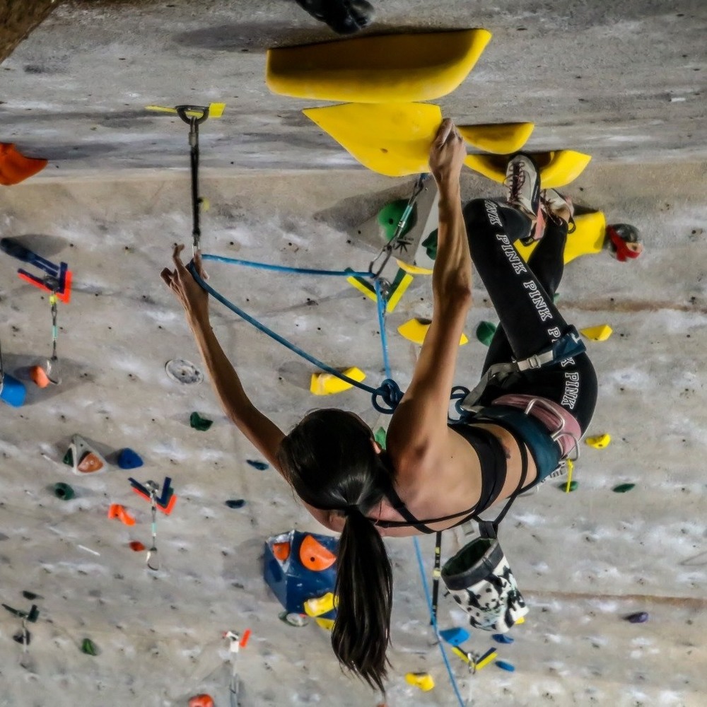 Meet your Posher, Phoebe